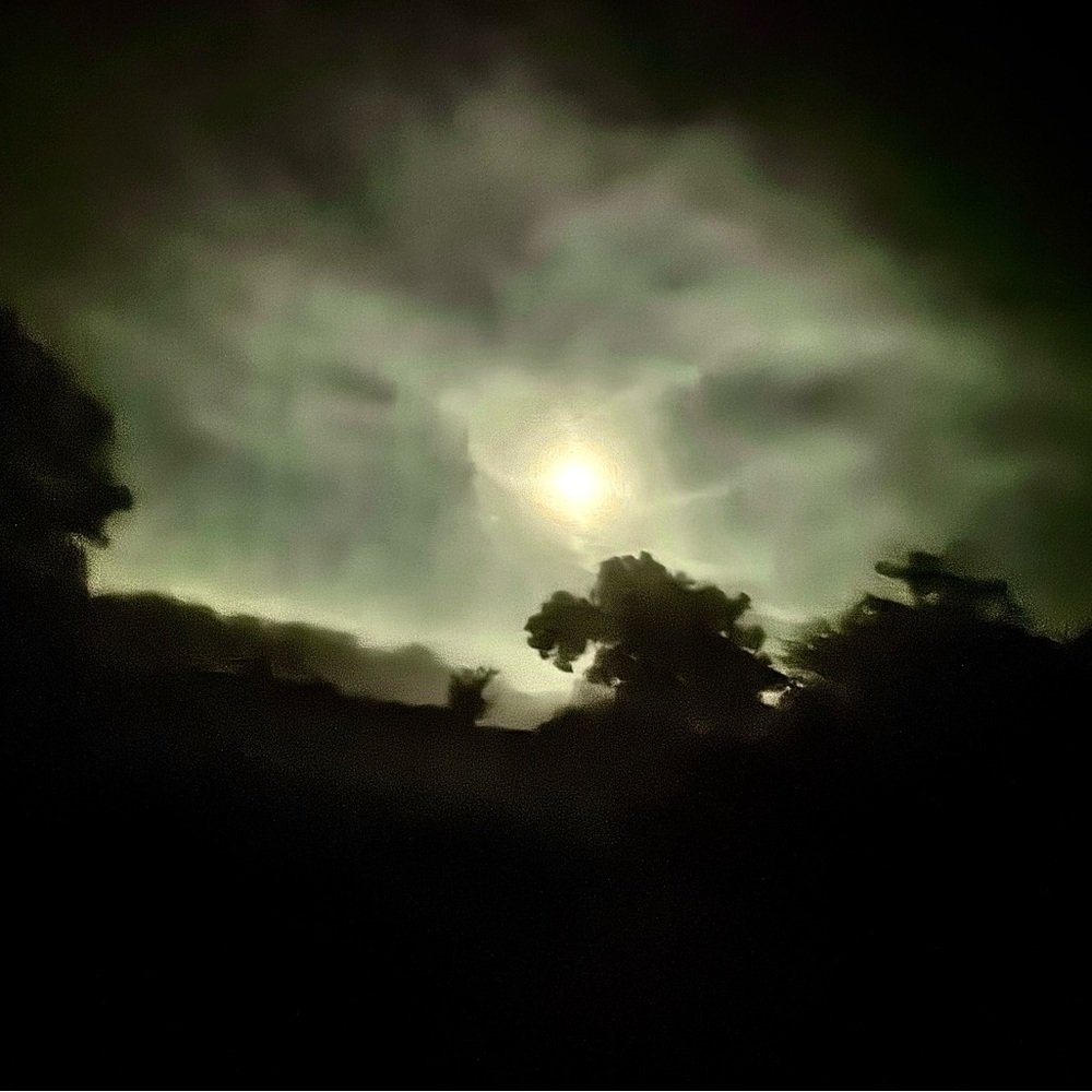 Meet your Posher, Daisy